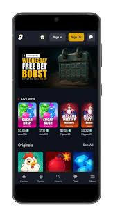 Thrilling Live Sports Betting with Bitcoin Unlocking New Possibilities